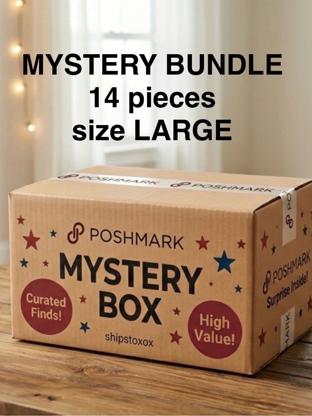 MYSTERY BUNDLE 
All Women's Size LARGE
14 Pieces in Total